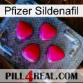 Pfizer Sildenafil 13